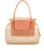 Coral Chevroches Calfskin and Raffia Mesh Aligre Bag, 2024